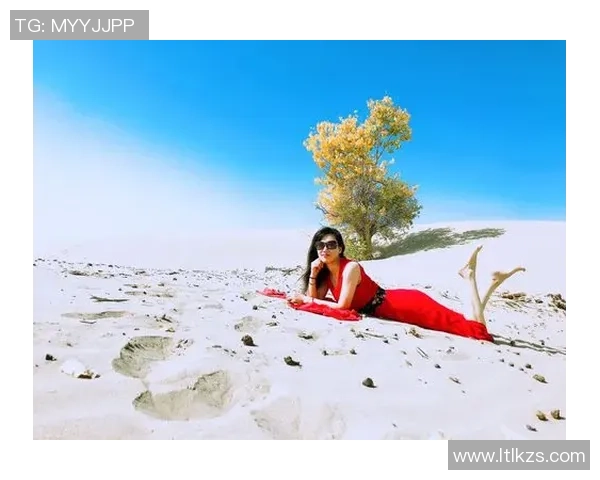 霍伊伦的传奇人生与科学探索之路：从理论到实践的跨越与启示